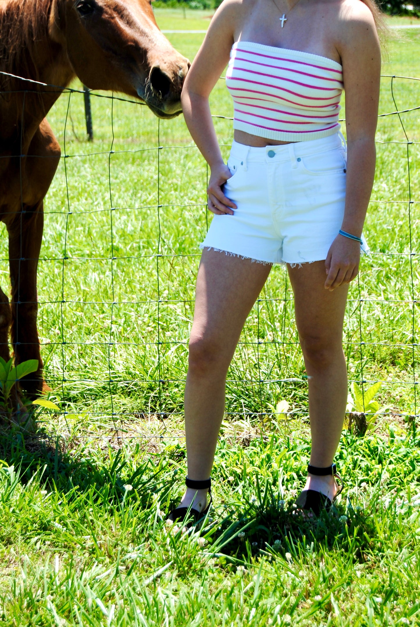 Classic White denim shorts