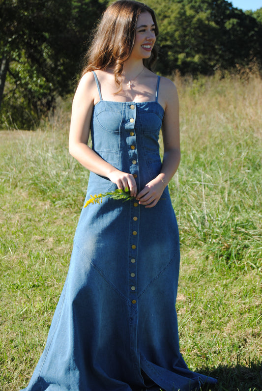 Dreaming denim dress